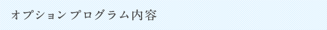 オプションプログラム内容