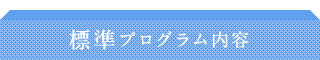標準プログラム内容