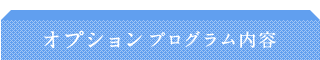 オプションプログラム内容